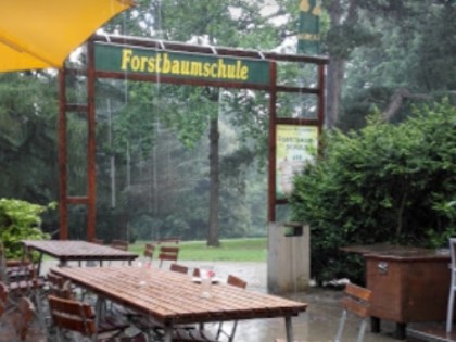 照片: Forstbaumschule